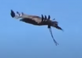 1648861429266.png 1648861429266.png