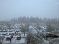 PXL_20220411_134108701.jpg