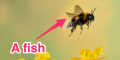 1654196094823.png