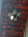 1655912835521.png