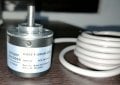 IMG_20220707_100519.jpg