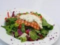 grilledsalmonsalad.jpg