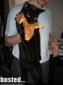 funny-pictures-busted-cat.jpg