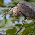 IMG_5430.jpeg
