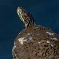 _Y728280-Edit-Edit-Edit.jpg