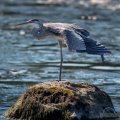 _Y728340-Edit-Edit-Edit.jpg