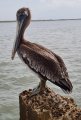 IMG-20220831-WA0008.jpg