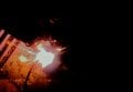 20220903_003942_exported_18540 (1).jpg