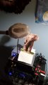 IMG_20221004_220120909.jpg