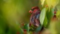 Y1D_8721-Edit-Edit.jpg
