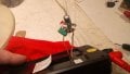 IMG_20221108_061242.jpg