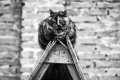sabrina_boem_photography_43705880_543003006163513_1300741170694979584_n.jpg