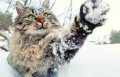 AdobeStock_54072807-scaled.jpeg