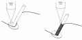 3.GIF
