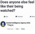 1673996503784.png