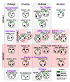 1676606839121.png 1676606839121.png