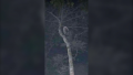 1677440826508.png 1677440826508.png