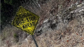 1677721599069.png