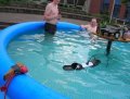 darwin_1cfa2d83c2b73e8ac763b1b94e976b6d638fdb49.jpg