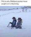 1680632218018.png