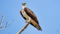 Y1D_6499-Edit-Edit.jpg