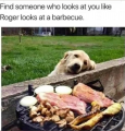 Untitled.png