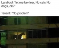 1684519031852.png