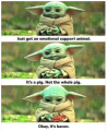 1684960878698.png