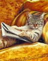 cat-reading-newspaper-paint-by-numbers.jpg cat-reading-newspaper-paint-by-numbers.jpg