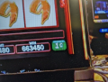 1687036026486.png