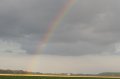 rainbow.jpg