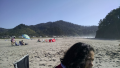 1688920197286.png