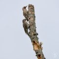Y1D_1276-Edit-Edit.jpg