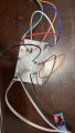 IMG_2169.jpeg