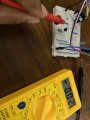 IMG_2195.jpeg