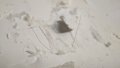 LMC20230728_115919_lmc_8.4.jpg
