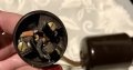 IMG_5687.jpeg