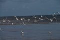 IMG_5391.jpg