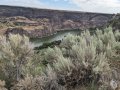 PXL_20230729_162017572.jpg