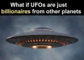 1691347556943.png