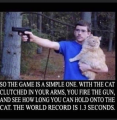 1691377517686.png
