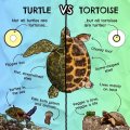 cool-guides-to-all-sorts-of-cool-things-21-pics-6.jpg