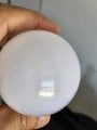 20230815_114728.jpg 20230815_114728.jpg
