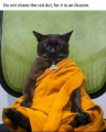 1693496364181.png