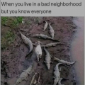 1694360886324.png 1694360886324.png