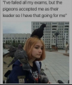 1696358354165.png