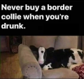 1696823120645.png