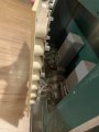 IMG_8438.jpeg
