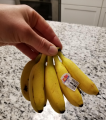 1697209739426.png