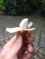1697210487671.png